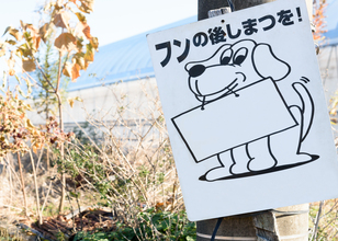 ルールを守る