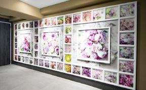 Flower Wall