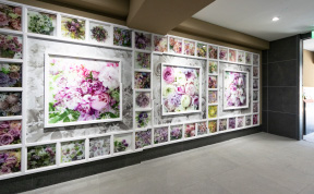 Flower Wall