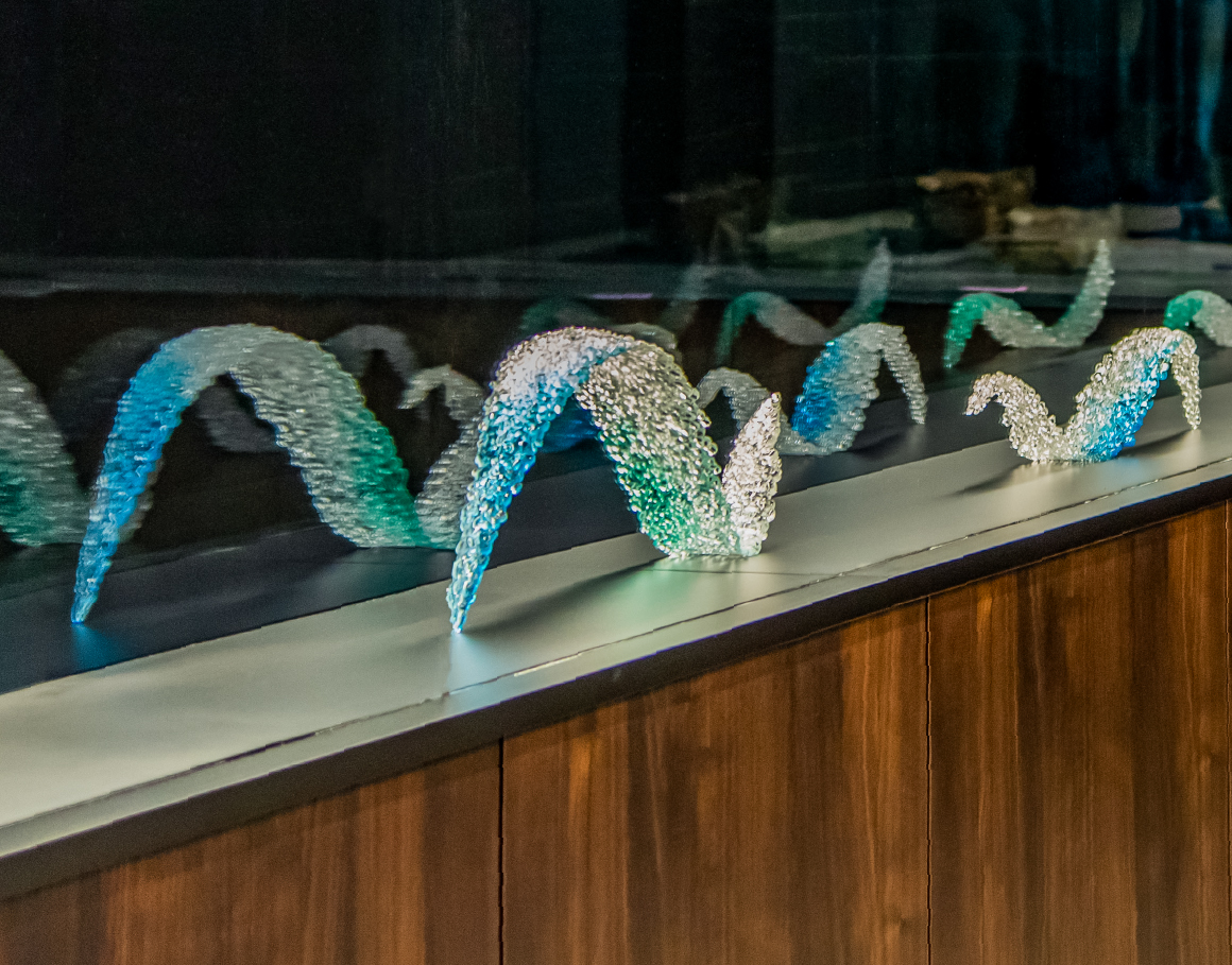 インタビュー 野田朗子氏