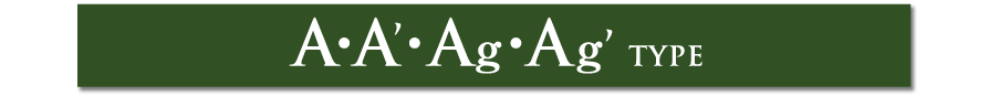 ベラジオ 雅び　洛北ガーデン｜A・A'・Ag・Ag'タイプ